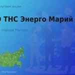 Покупаем акции ПАО ТНС Энерго Марий Эл