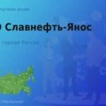 Покупаем акции ПАО Славнефть-Янос