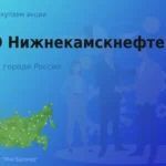 Продать акции ПАО Нижнекамскнефтехим, дорого