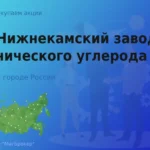 Акции АО Нижнекамский завод технического углерода
