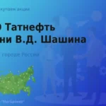 Акции ПАО Татнефть имени Шашина