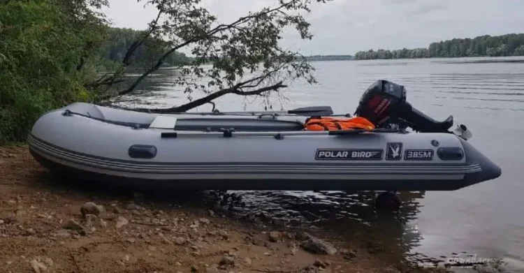 Лодка polar bird 385M merlin