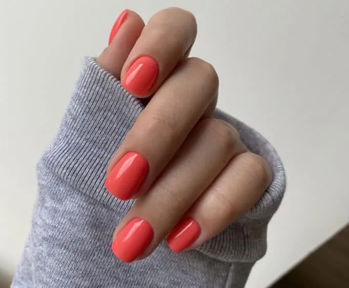 Ногтевая студия Xnails
