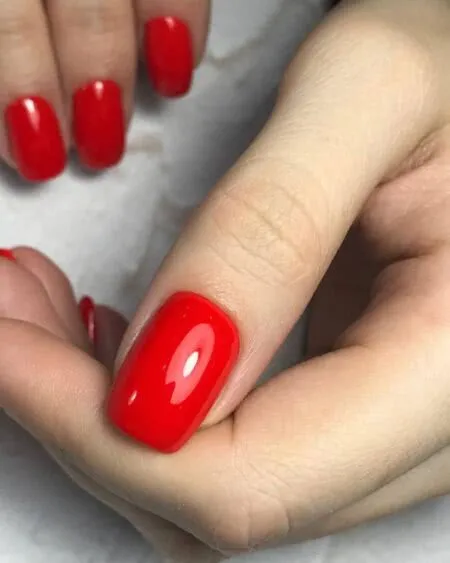 Ногтевая студия Xnails