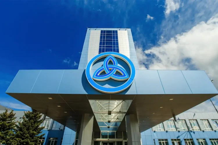 У нас продают акции ПАО Нижнекамскнефтехим