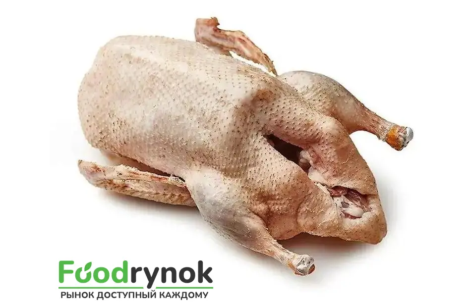 Тушка индейки, мясо индейки, объявление на Татат