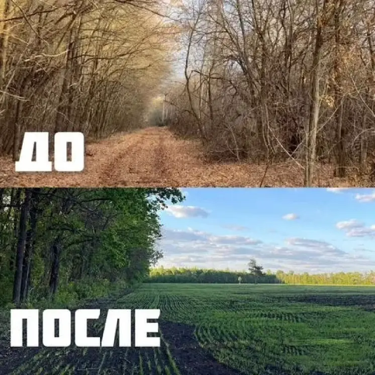 Специализированные услуги по расчистке территорий, объявление на Татат